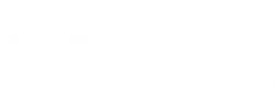 Brisbane Physio Clinic Logo Light